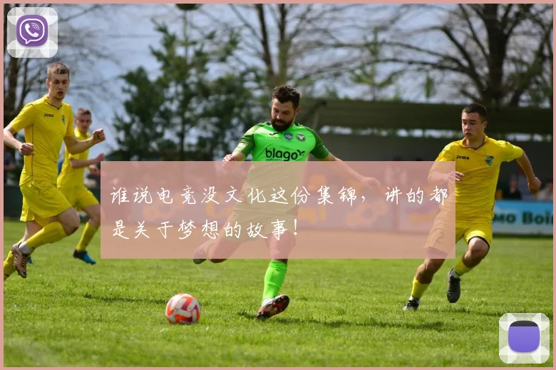 谁说电竞没文化这份集锦，讲的都是关于梦想的故事！