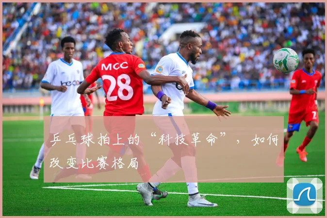 乒乓球拍上的“科技革命”，如何改变比赛格局